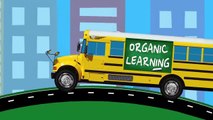 Learning Colors for Toddlers - Learn Colours Street Vehicles, School Buses, Big Rig Trucks for Kids-vPPXyTqk6