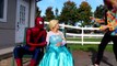 Spiderman EVIL SURPRISE! w_ Frozen Elsa Maleficent Joker Girl Spidergirl Ariel! Superheroes IRL  -)-47