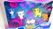 Puppy and Kitty Pals with The Secret Life Of Pets, Paw Patrol, Chubby Puppies Toys-zQHfqXxTG