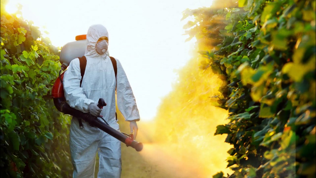 Pest FX Control Kelleys Island- (419) 216-9170