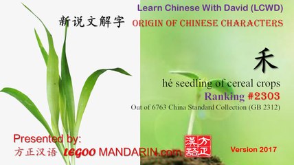 Origin of Chinese Characters - 2303 禾 hé seedling of cereal crops  - Learn Chinese with Flash Cards