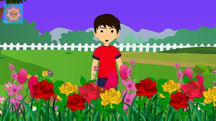 Gulab Ka Phool - Hindi Poems for Nursery