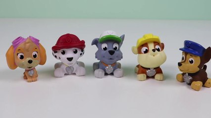 PAW PATROL Visit Doc McStuffins Toy Hospital After Getting Sick from SLIME!-zt5VgvCGIgA