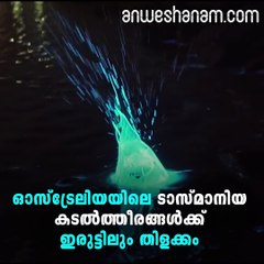 ഈ തിളക്കം ഇരുട്ടിനെ വെല്ലുവിളിച്ച് #AnweshanamWorld