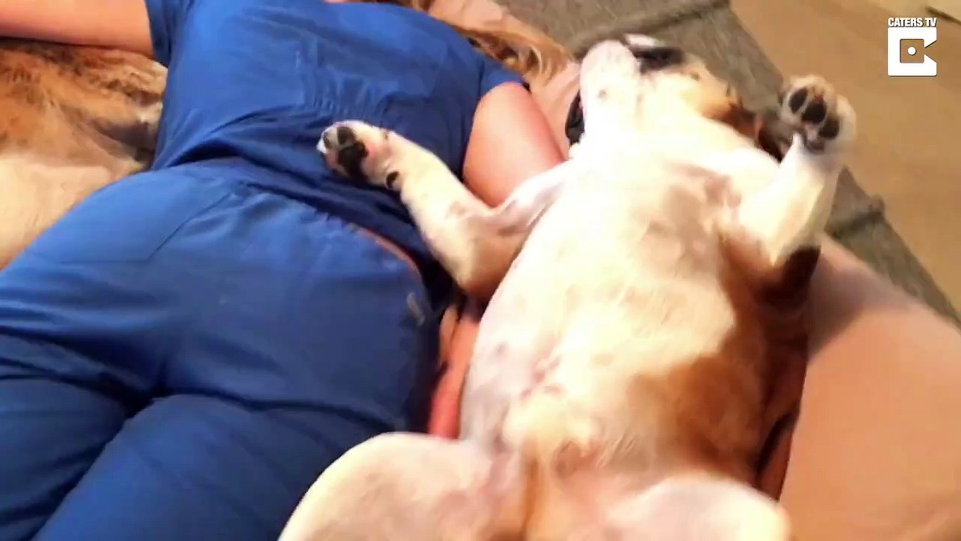 Elle Se Fait Baise Par Son Chien Une femme couche avec ses deux chiens - Vidéo Dailymotion