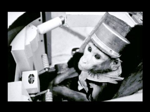 Des pionniers à plume et à poils...