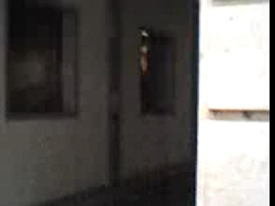 Jessie la gagnante de popstars 2007