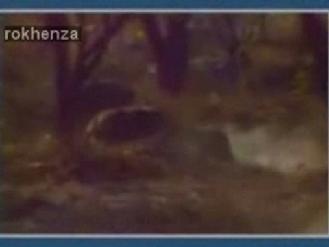 Desvarieux decimus - zongonn ( kassav' )