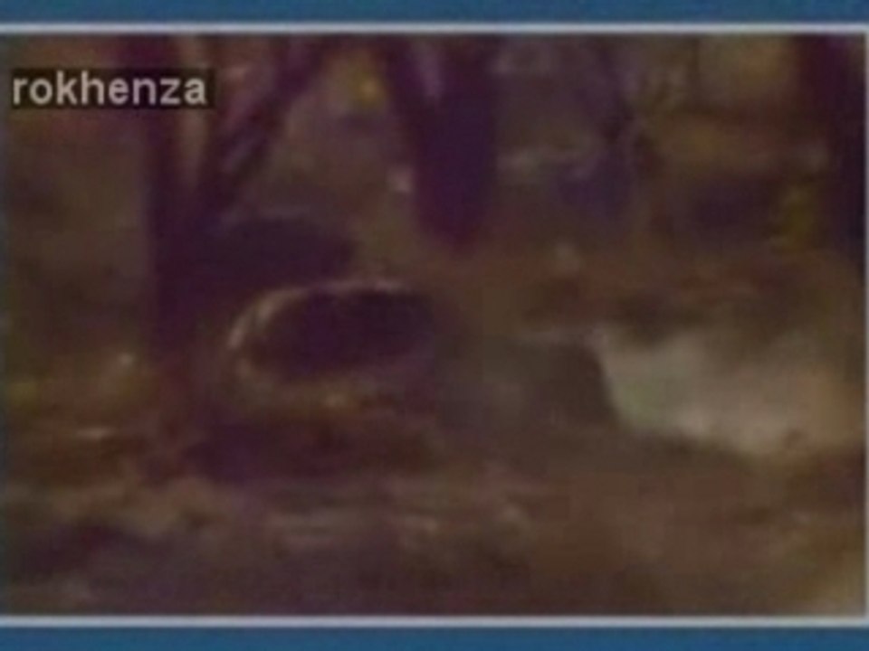 Desvarieux decimus - zongonn ( kassav' )