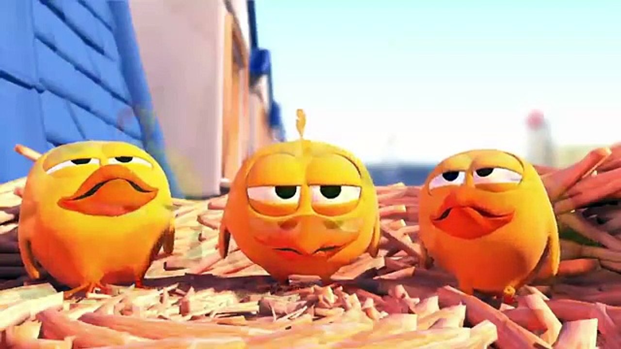 Pigeons - Cute Animated Cartoon Movie