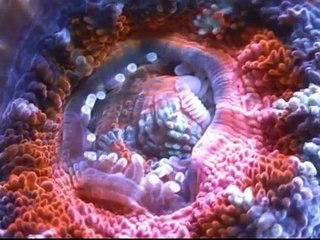 선릉야구장（Ø1Ô.7486.7765）선릉풀싸롱＂선릉야구장가격＂선릉야구장후기