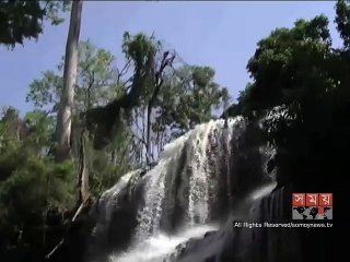 ঘানায় গাছ উপড়ে পড়ে নিহত ২০