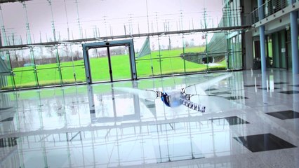 Bionic dragonfly by French engineers