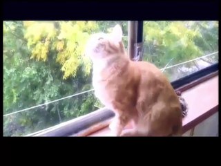 А чё, прикольно №31