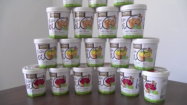 Hautes-Alpes : Des glaces bio sans sucre fabriquées par Otantic à Chorges