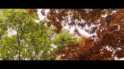 I Follow Rivers mix 2017