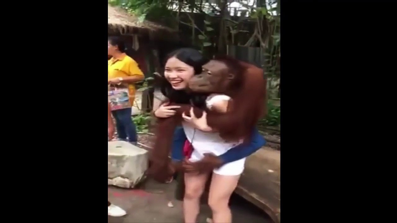 Funny Chinese videos - jyrjny