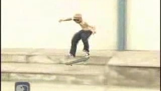 Nilton Neves Part In 411 Skate Video(Element)