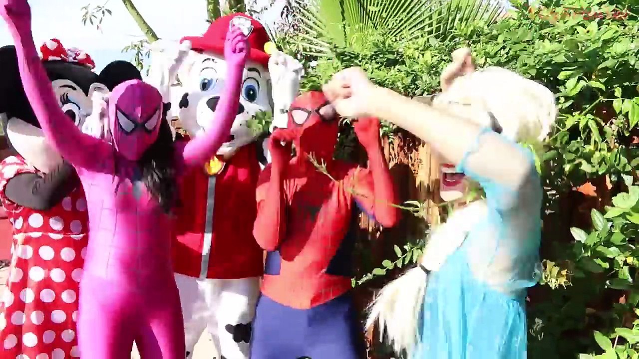 Dracula Turns Frozen Elsa Into a Vampire! w/ Minnie Mouse, Spiderman, Spidergirl Marshall