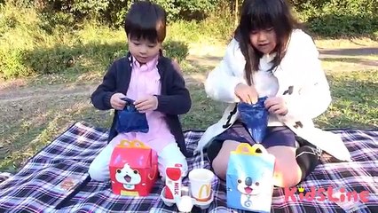 マクドナルド ピクニック!! フライヤーという乗り物で遊びました♫ 外遊び こうくんねみちゃん