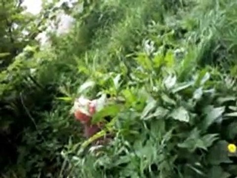 80-letnia pijana kobieta czyli czuwajcie nade mną !