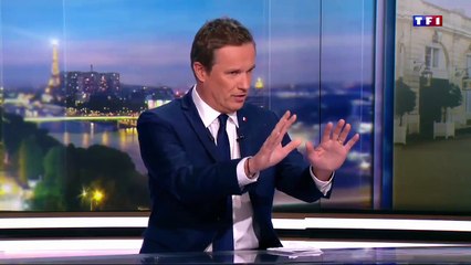 Nicolas Dupont-Aignan quitte le JT de TF1 en direct