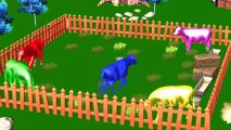 Colours Rhymes For Children | Color Song | 3d Horse Colours Songs | Dinosaur Cartoons For