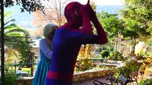 Spiderman Love Frozen Elsa & Anna on PC Hulk Joker Pranks Steal Colors Funny Superheroes R