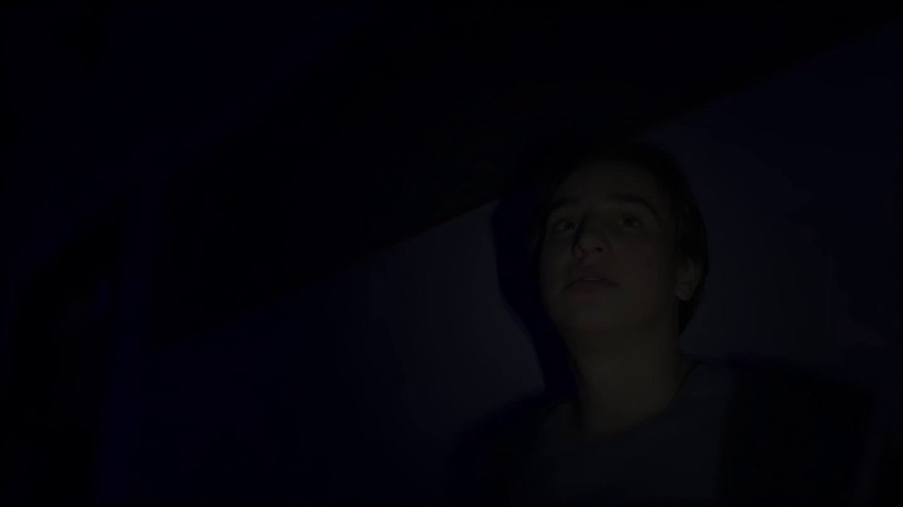 Robin Simonis, L'oeuvre de tout une vie