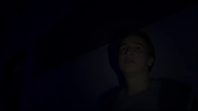 Robin Simonis, L'oeuvre de tout une vie