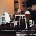 Cat moves vase to knock it off, gets caught and moves it back