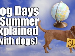 Dog Days of Summer Explained (with dogs)