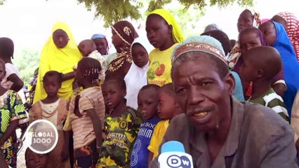 Níger: protección de las últimas jirafas | Global 3000