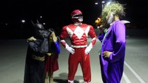 Бэтмен Эльза эпический фильм в в в в джокер л Новые функции Новый мощность шалость рейнджер реальная Паучок Супер девушка супергерой против