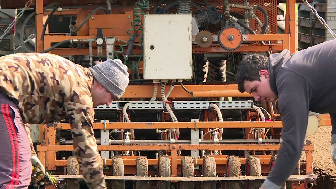 Brexit beunruhigt britische Bauern