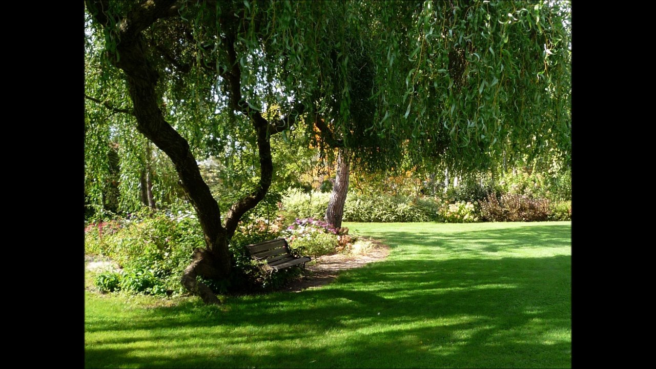 Mon jardin que j'aimais