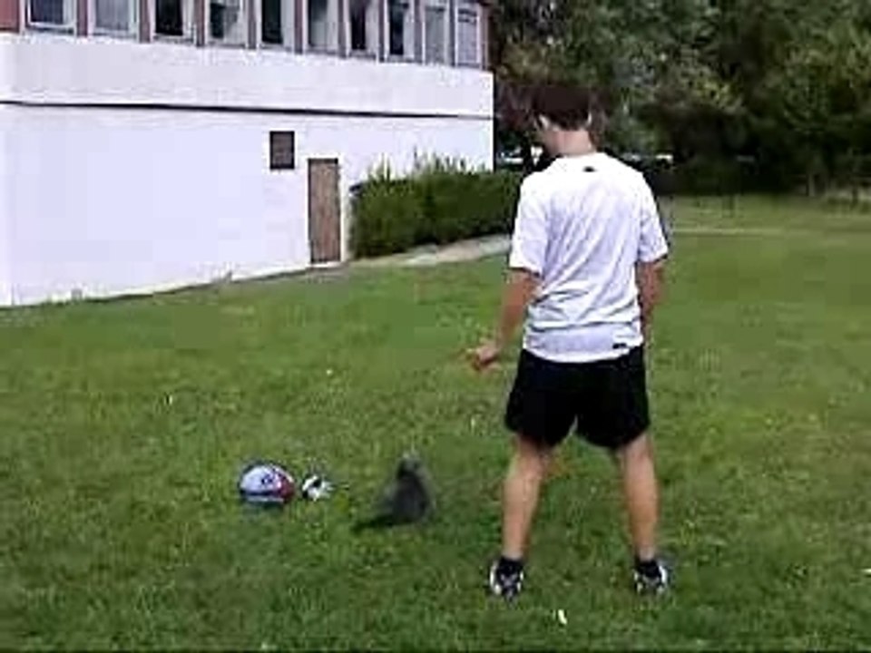chat appeuré