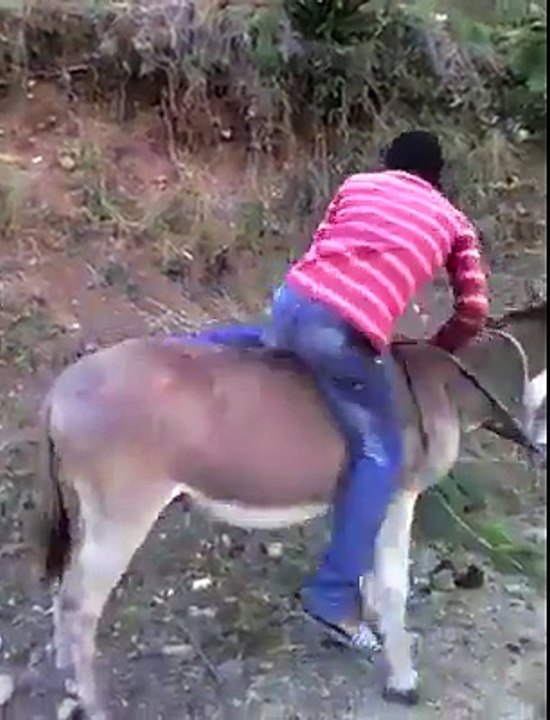 Funny Comedy Videos 2017  Funny Video