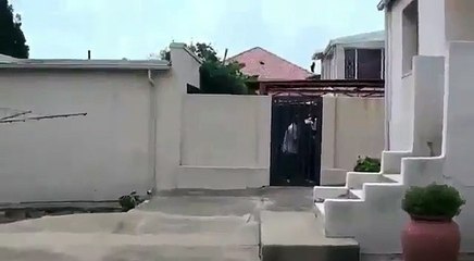 En Afrique du Sud, des voleurs ont été pris la main dans le sac par la propriétaire de la maison. Drôle de scène…