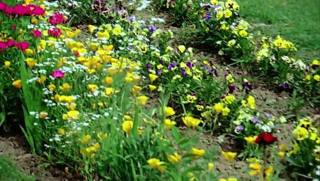 Main Tera Naam Loonga - Amitabh Bachchan - Bemisal Movie Songs - Kishore Kumar Hits