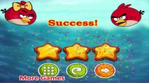 Angry Birds Online Game - Episode Angry Birds Water Adventure Levels 1-24 - Rovio Games