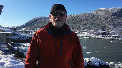 Ça va être une année extraordinaire pour aller voir les icebergs !