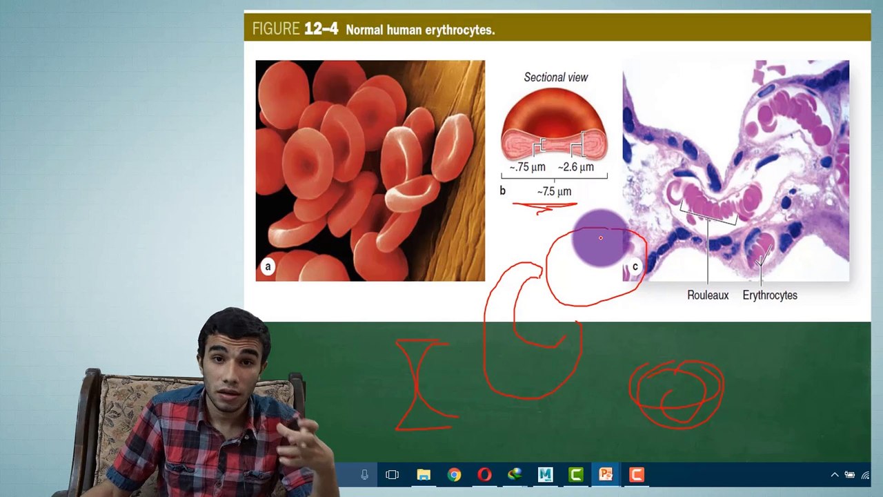 1-Intro and Red Blood Cells (Part 2)