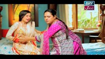 Haal-e-Dil Episode 133 - on Ary Zindagi in High Quality 25th April 2017