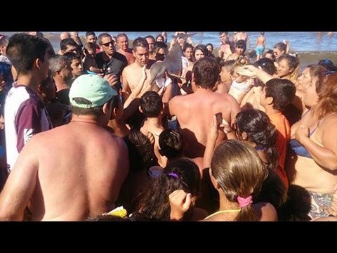 Baby Dolphin died as tourists take selfies with her