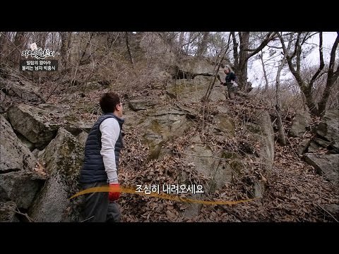 절벽에서 저녁 먹거리를 구해오는 왕형! [자연愛산다] 3회 20170425