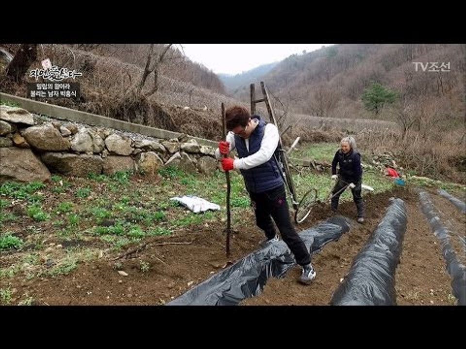 자연인을 위해 소처럼 일하는 지상렬 [자연愛산다] 3회 20170425