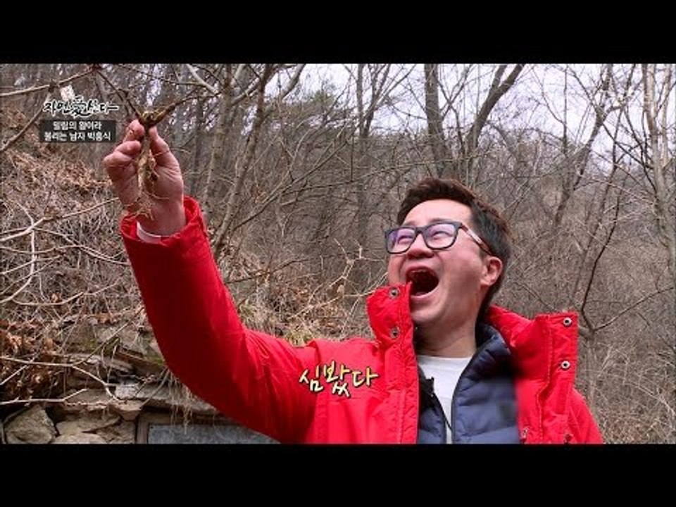 대박! 집 앞에서 산삼을 구했다! [자연愛산다] 3회 20170425