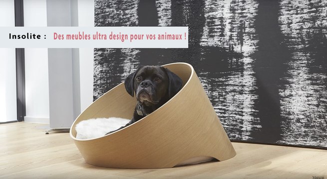 Insolite: Des meubles ultra design pour vos animaux !