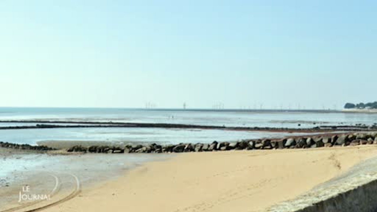 Eolien offshore : Les impacts sur l'environnement (Vendée)